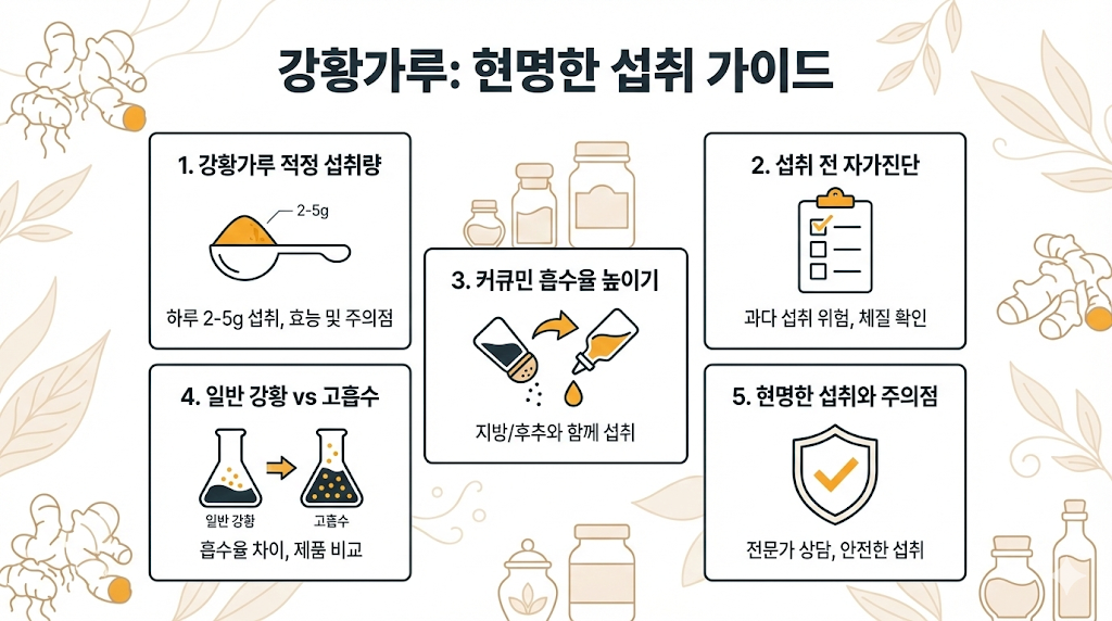 강황가루 현명한 섭취 가이드(인포그래픽)
