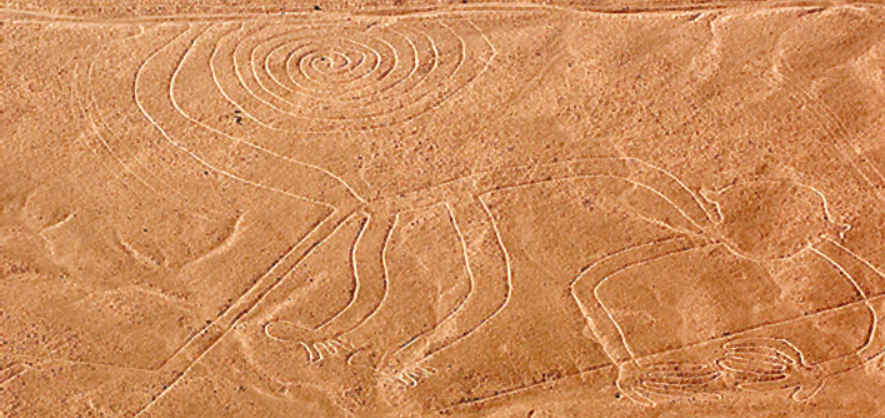 나스카 라인 원숭이 문양