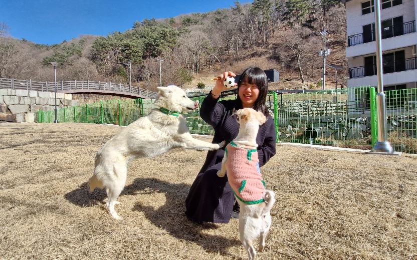 경남 함양 산삼자연휴양림에서 강아지와 함께 놀고 있는 휴양객의 즐거운 모습