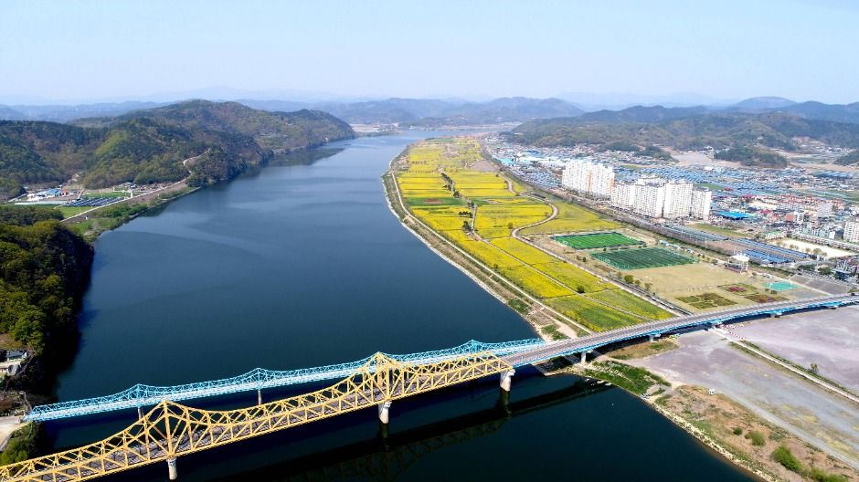 [봄꽃 축제]창녕 낙동강 유채꽃축제 ❘기간, 일정, 명소, 즐길거리, 꿀팁 총정리