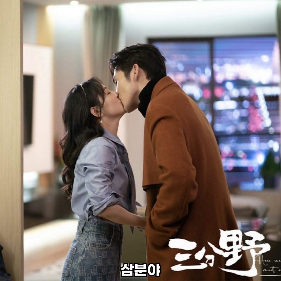 삼분야 중드 로맨스