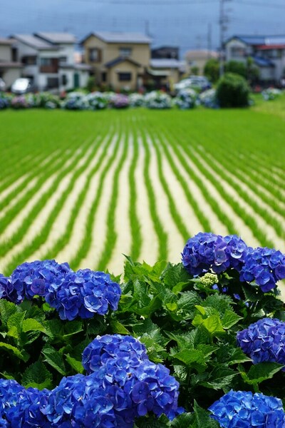 가평군 자연 휴양지 관련 사진