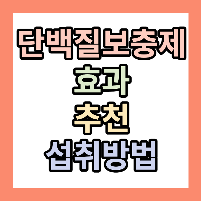 다이어트 <단백질보충제> 추천,효과,순위 확인해 보세요.