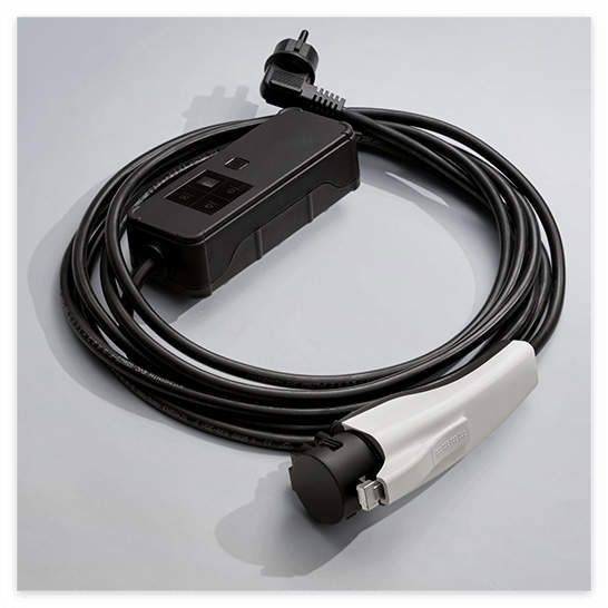 레이 전기차 보조금