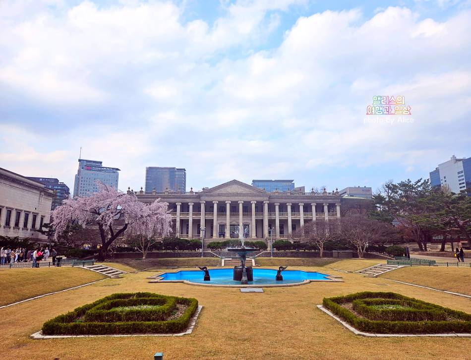서울 벚꽃 명소 나들이 추천 경복궁, 덕수궁 4월 개화 상황 서울 가볼만한곳