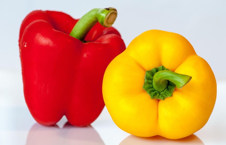 빨강 파프리카와 노랑 파프리카