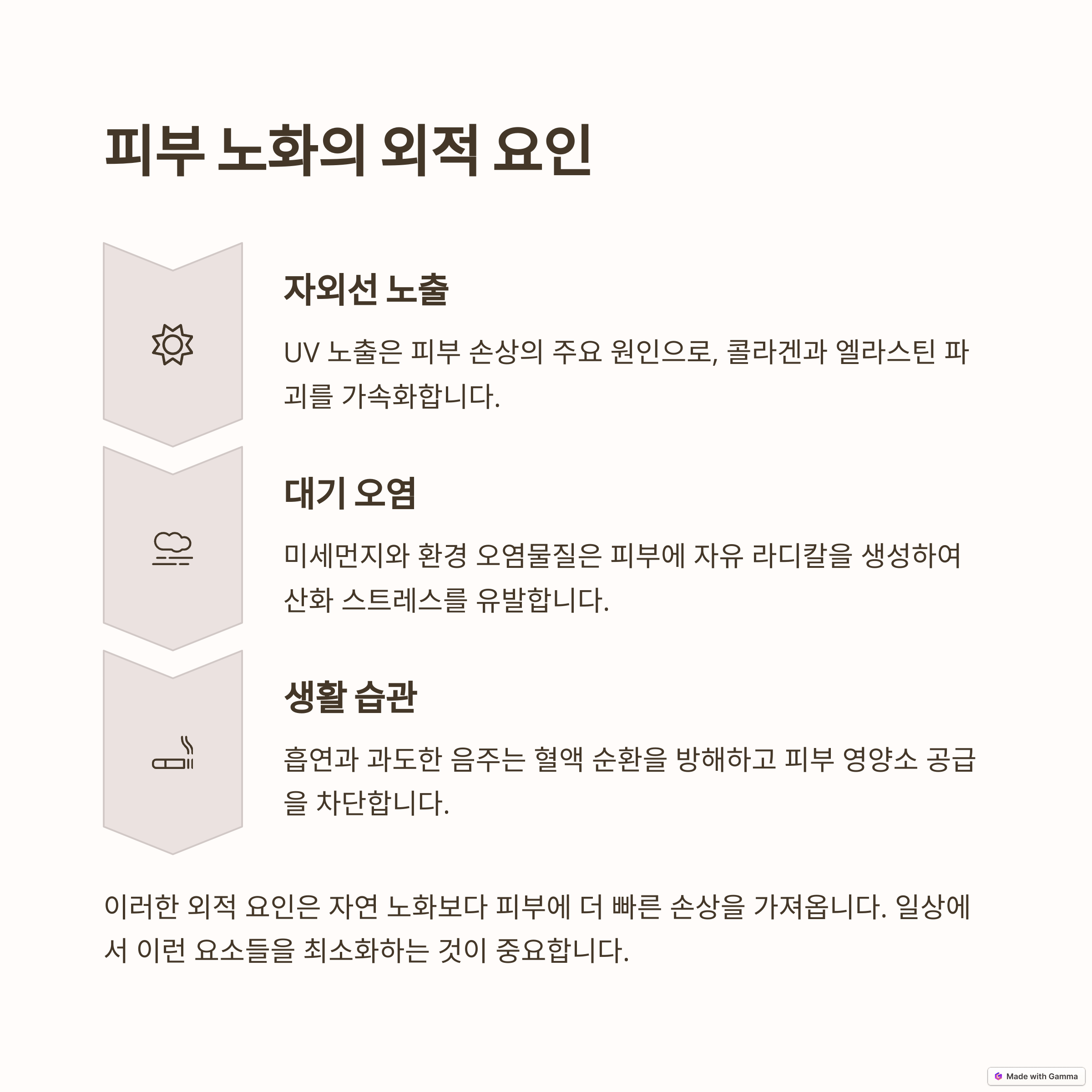 피부 노화 방지를 위한 자연 성분 화장품 추천: 건강하고 아름다운 피부를 위한 선택