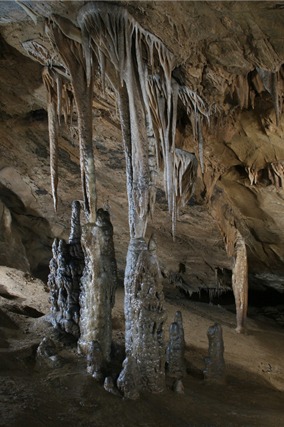 평창 백룡동굴 예약 방법