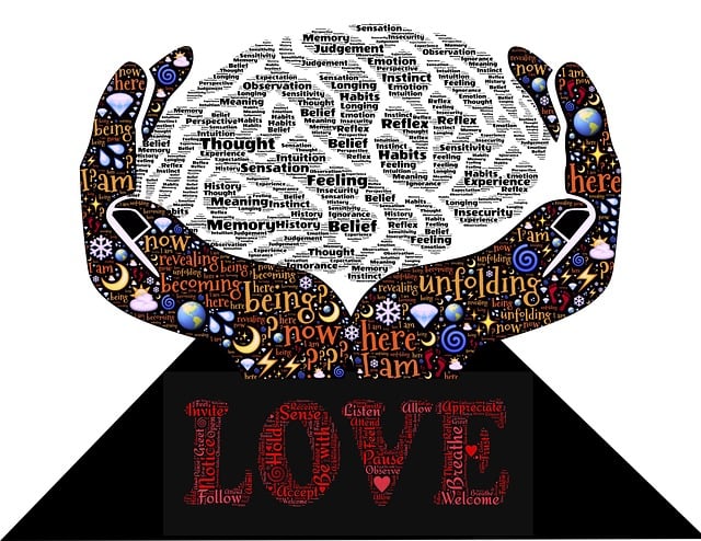 뇌의 손상과 회복의 과정