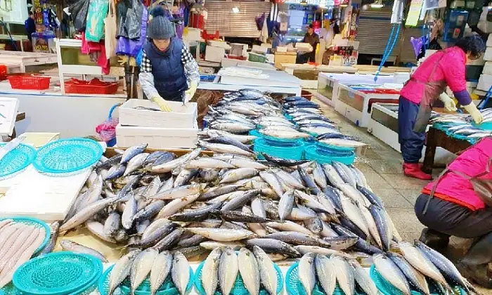 소문의맛집 자족식당 포항수협죽도위판장 포항