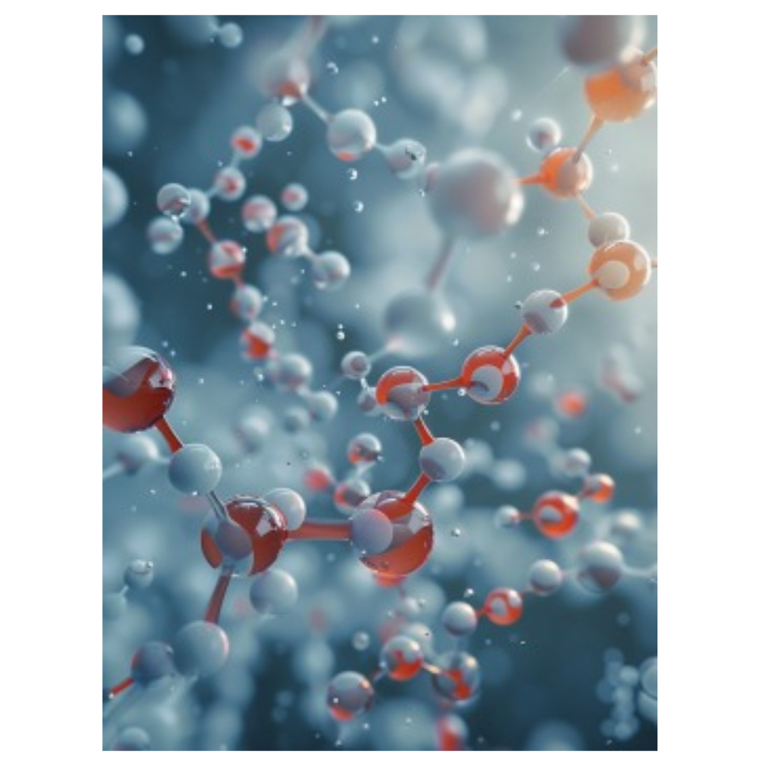 코엔자임 큐텐과 관련된 사진입니다.