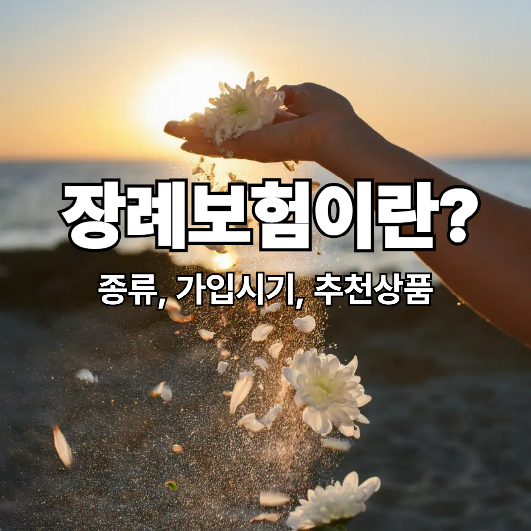 장례보험