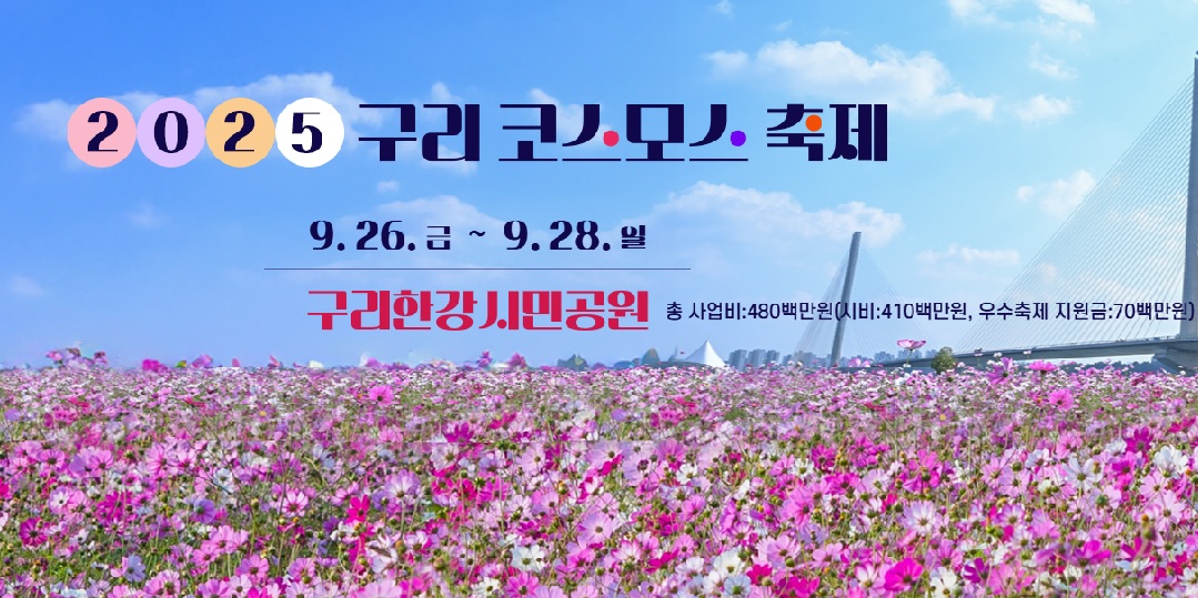구리 코스모스축제 한강시민공원
