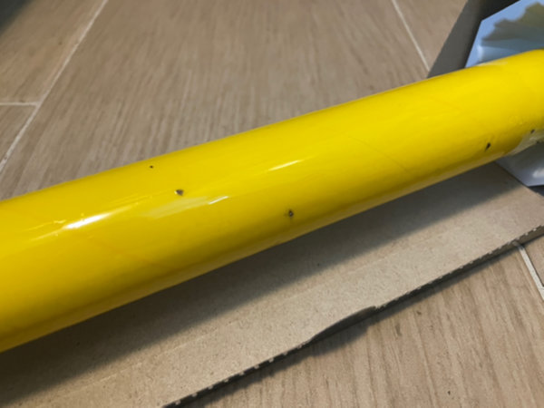 초파리 트랩 반대편도 클로즈업