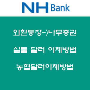 실물달러이체1
