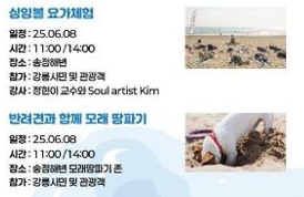 강릉해양레저 펫가족 힐링페스티벌