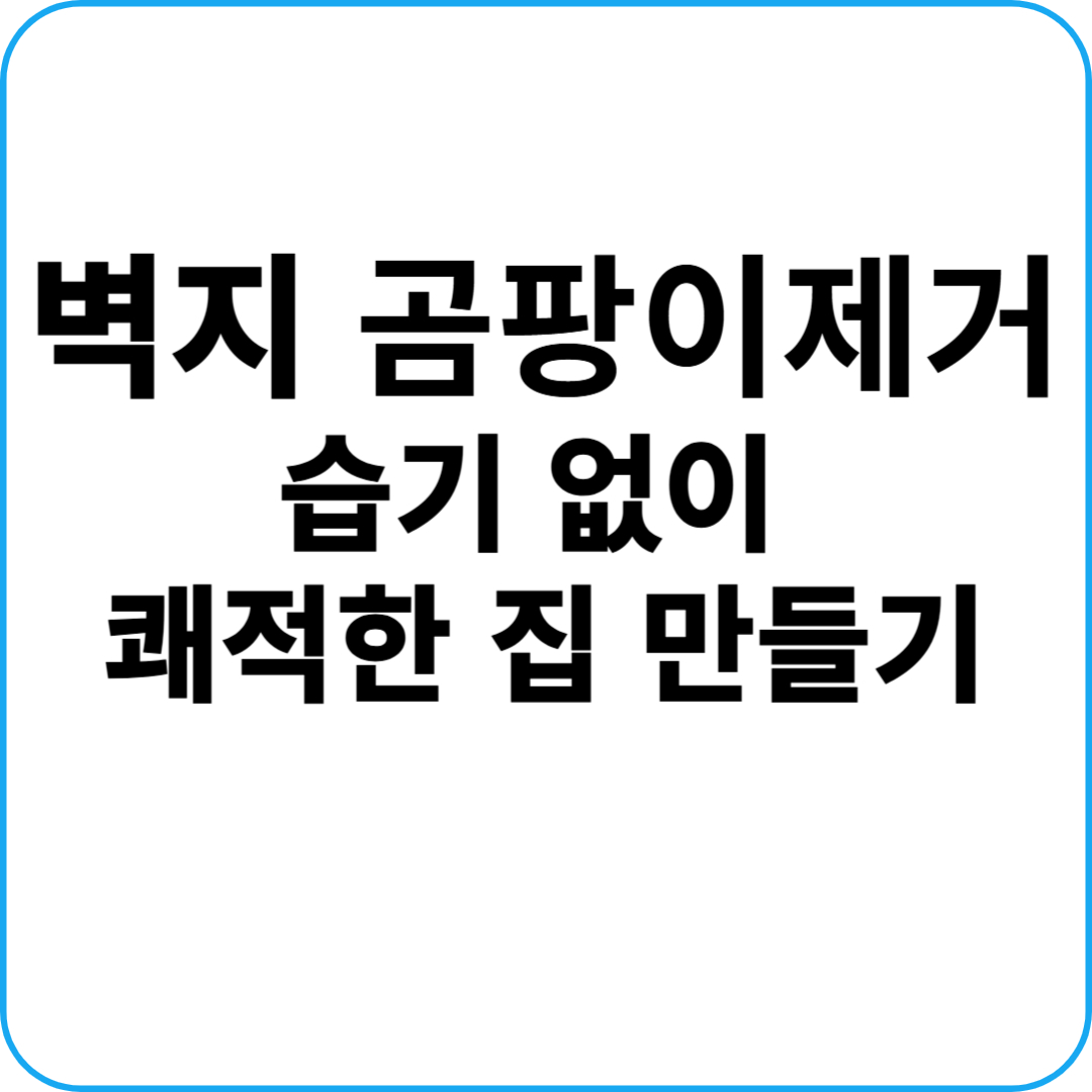 벽지 곰팡이제거