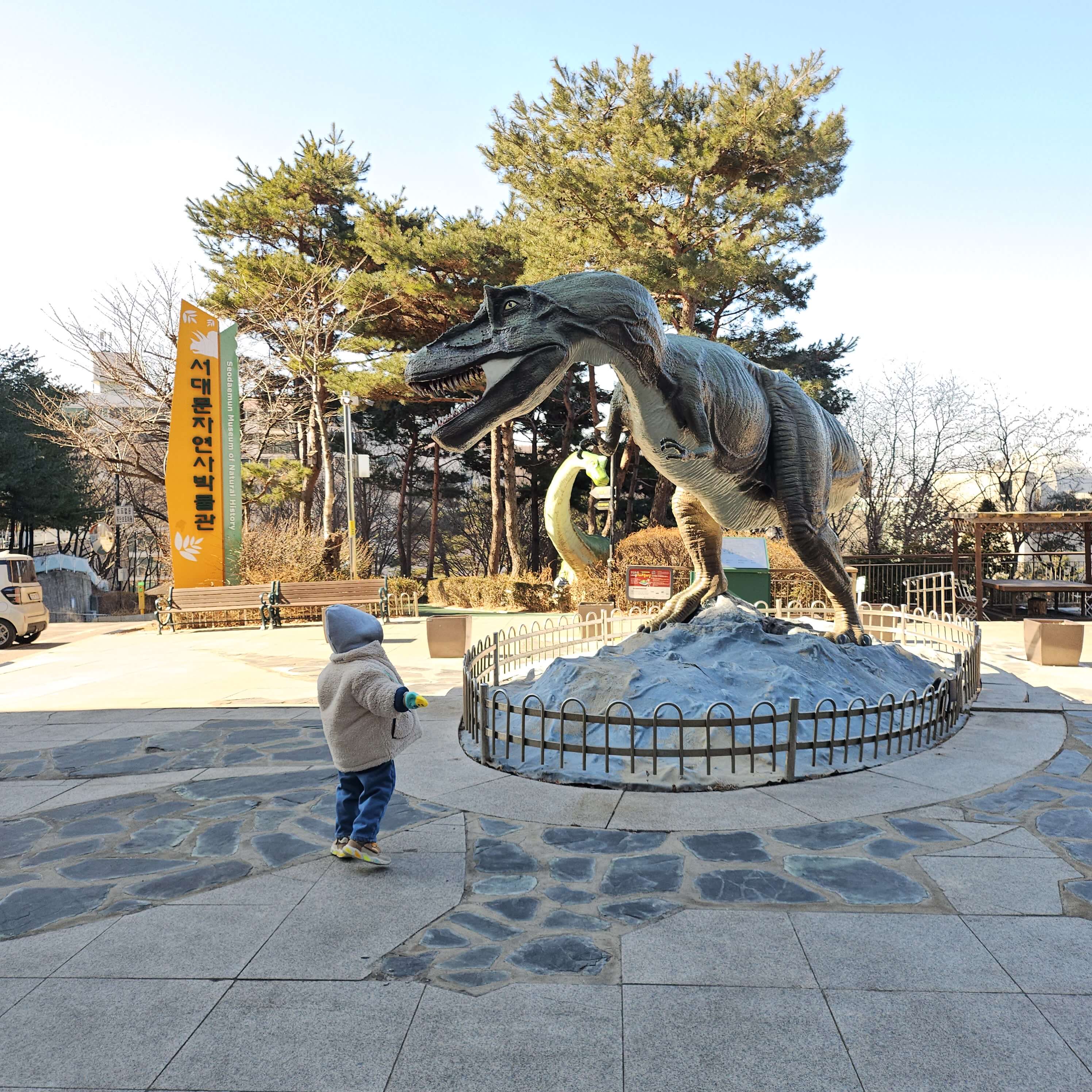 서대문자연사박물관 야외 공룡 모형
