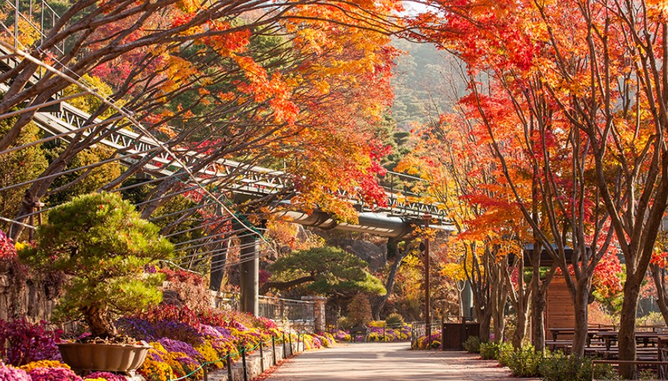 화담숲 예약하기