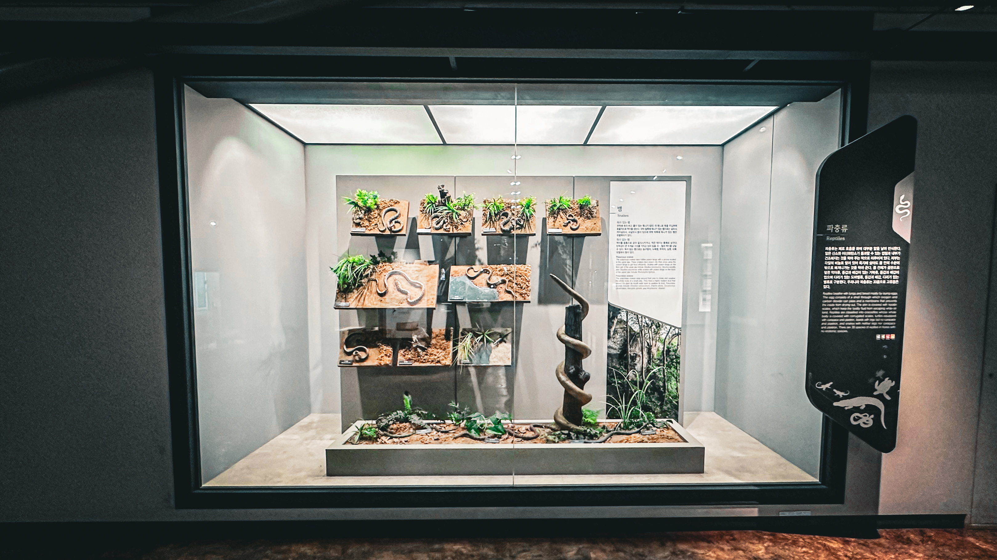 국립 중앙 과학관