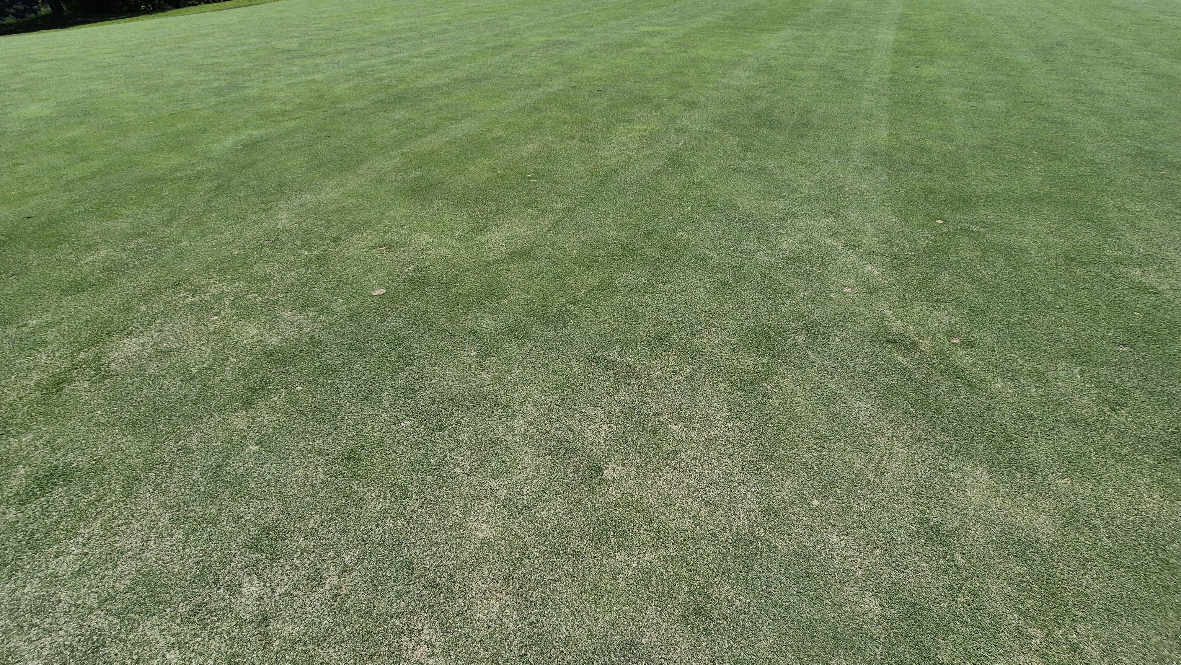 골프존카운티 화랑 라운드 후기