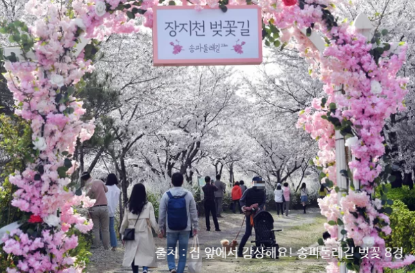 송파구시설관리공단에서 송파가볼만한 곳을 소개합니다. - undefined - 장지천 벚꽃길 송파구시설관리공단에서 송파가볼만한 곳을 소개합니다. - undefined - 장지천 벚꽃길