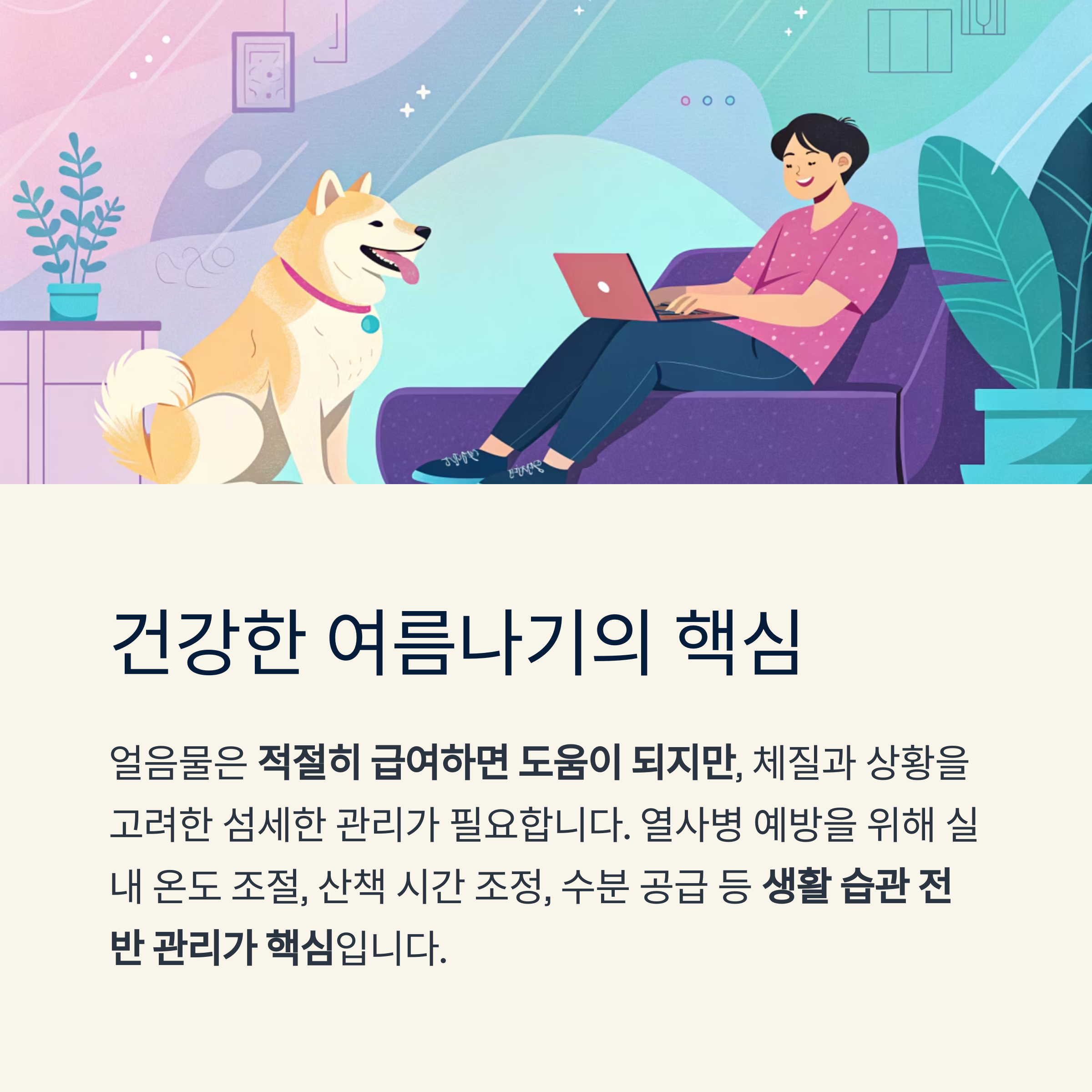 건강한 여름나기의 핵심