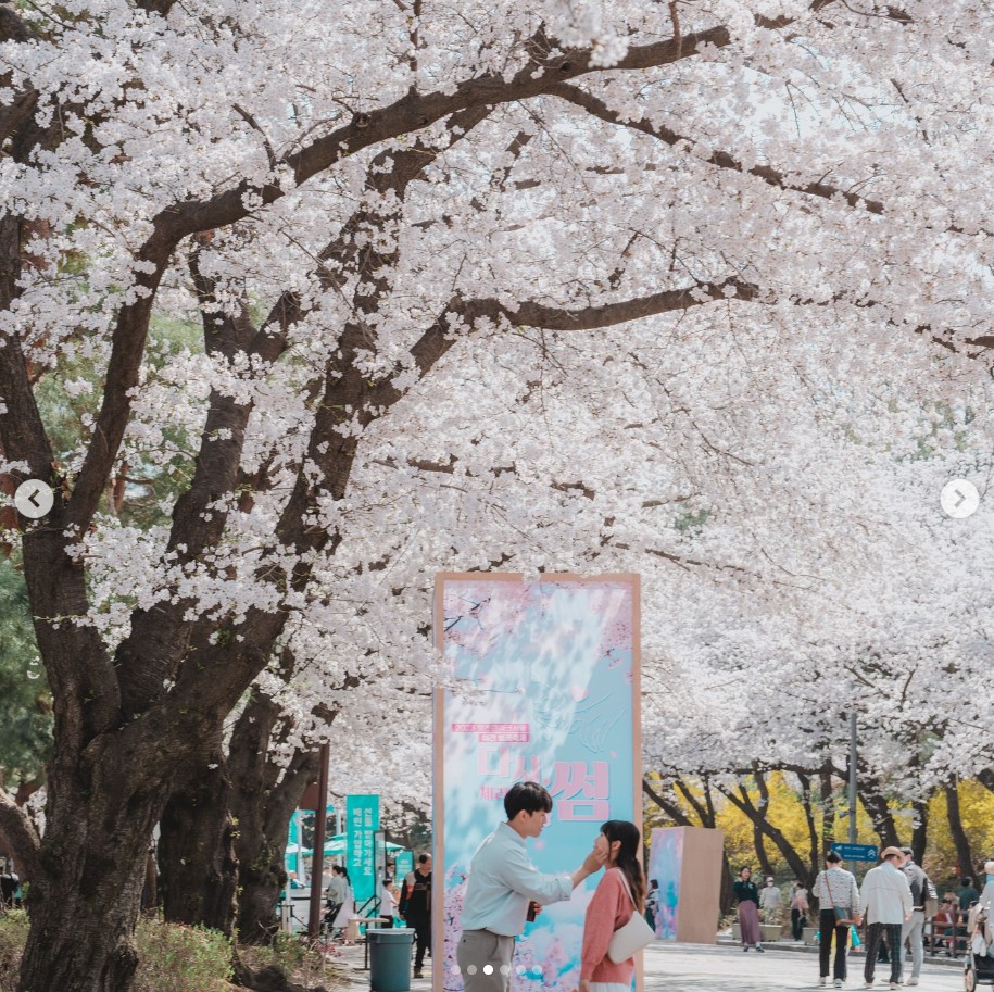렛츠런 파크 서울 벚꽃 축제