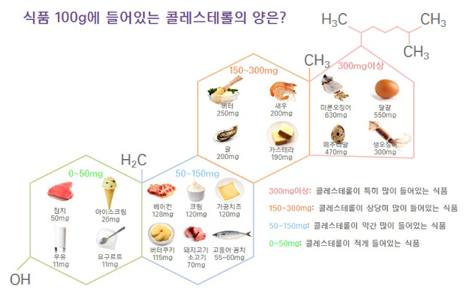 건강한 콜레스테롤 섭취