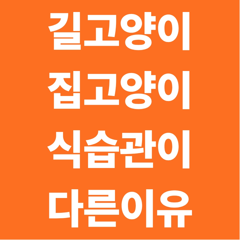길고양이 집고양이 식사 습관 다른 이유