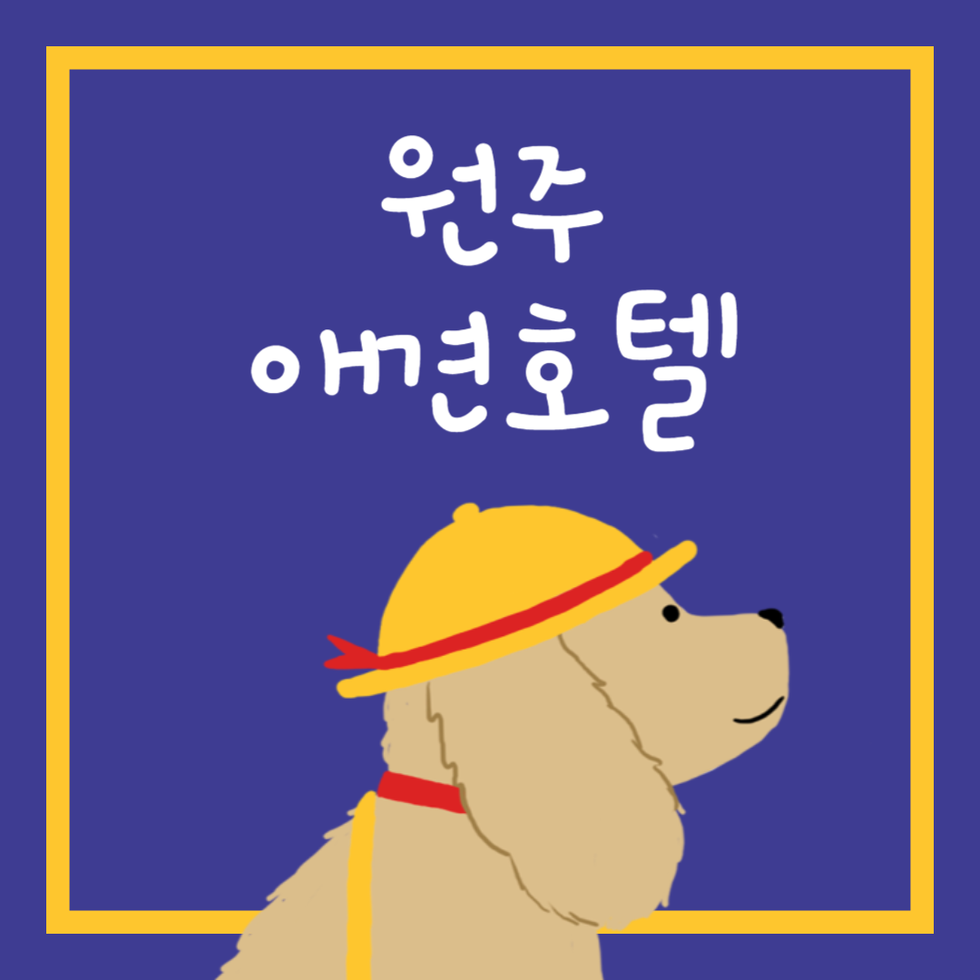 원주 애견호텔