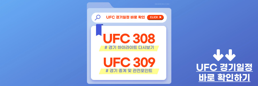 UFC 308