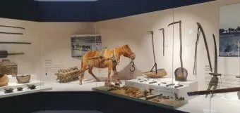 아이와 제주 여행 제주 민속 자연사박물관 예매 코스 가이드_17