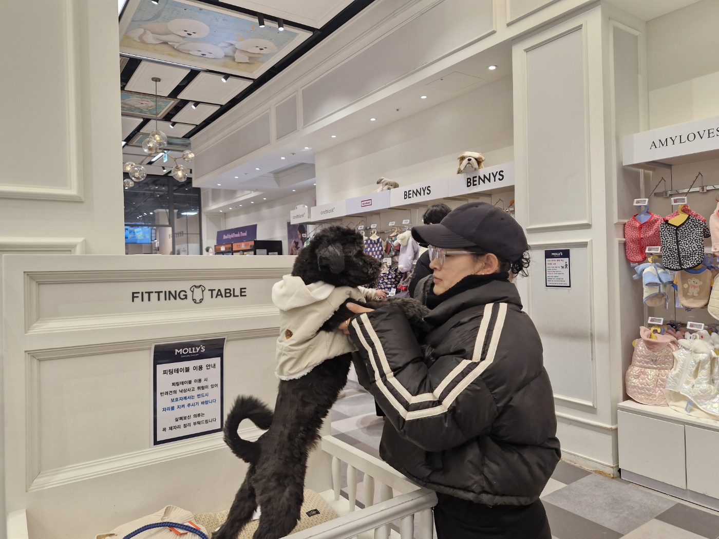 강아지가 진짜 원하는 10가지 (사료보다 더 중요한 것들)