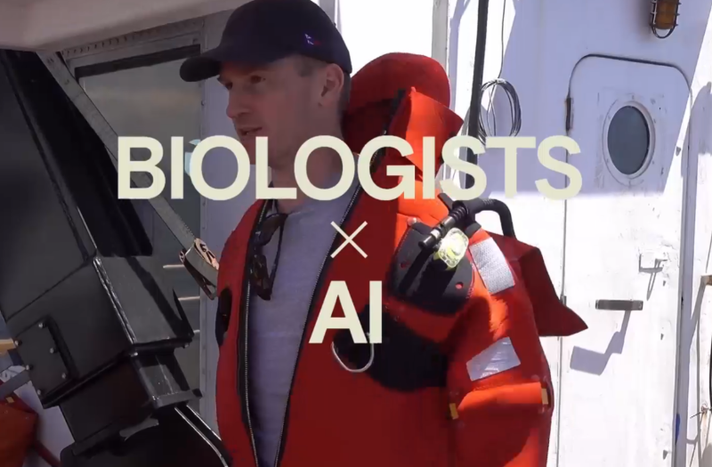 AI 검색시대 진짜 시작