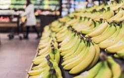 농할상품권 사용처 구매 방법 할인 2024