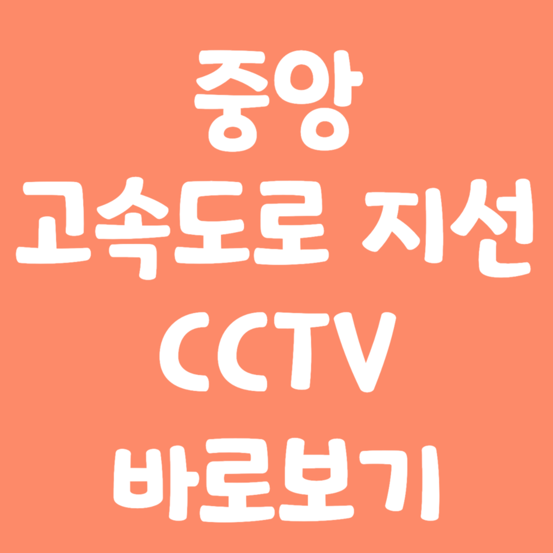 실시간 중앙 고속도로 지선 CCTV 바로보기