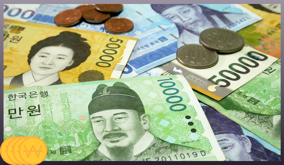 손목닥터9988 포인트