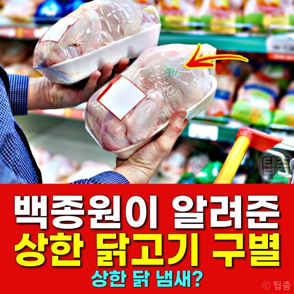 상한 닭고기 구별 상한닭냄새
