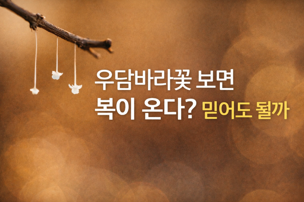 우담바라꽃 보면 복이 온다는 징조? 과학으로 확인하기
