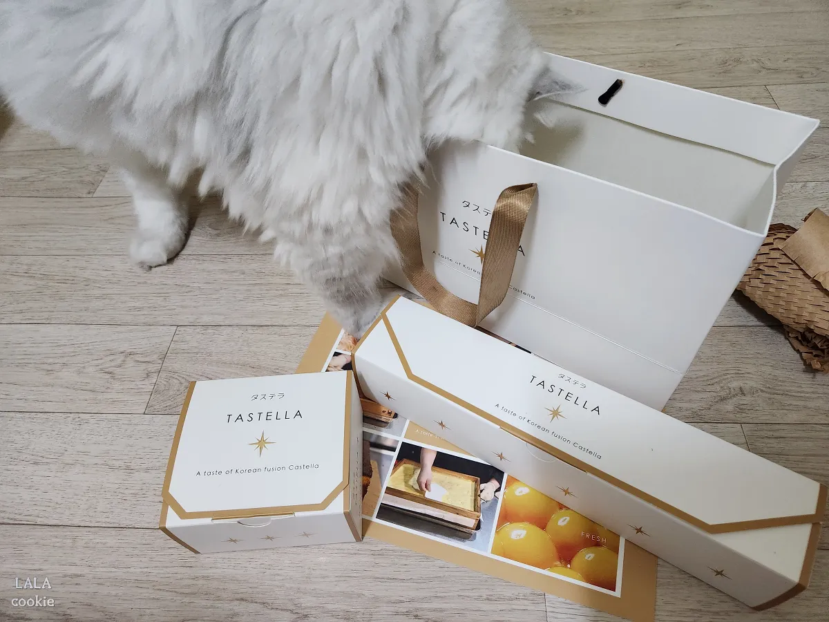 대구-중구-베이커리-카페-대봉정-카스테라-박스-포장