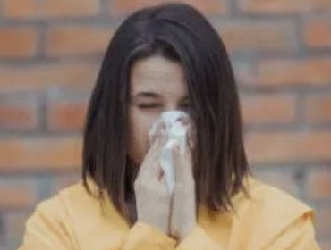 바질 효능 18