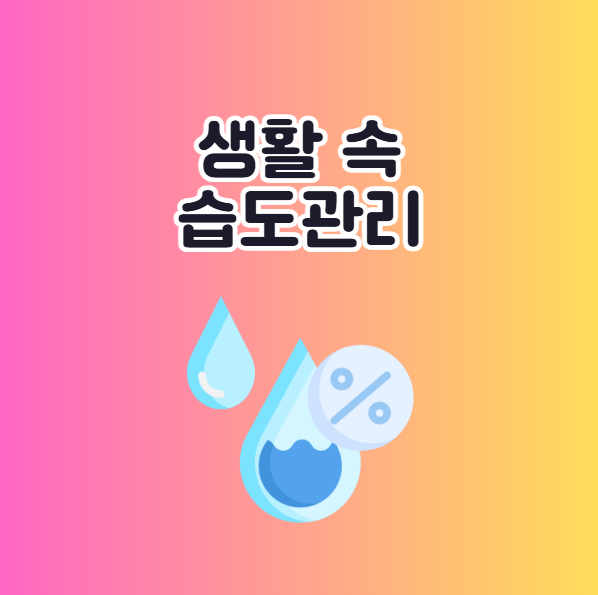 실내 적정 습도 관리 생활 속 활용 방법