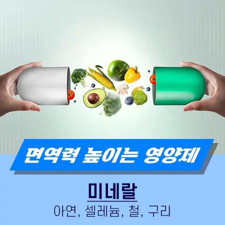 면역력 높이는 영양제 미네랄
