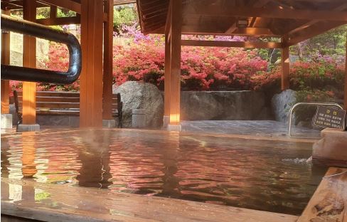 국내온천여행 척산온천