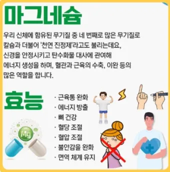 마그네슘 효능 으로_1