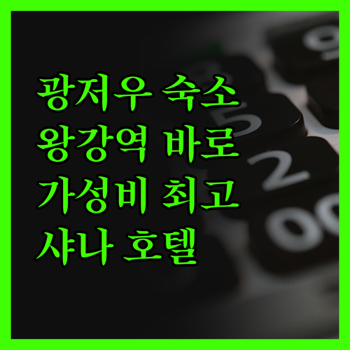 샤나 호텔 광저우 지아허 왕강역점! 