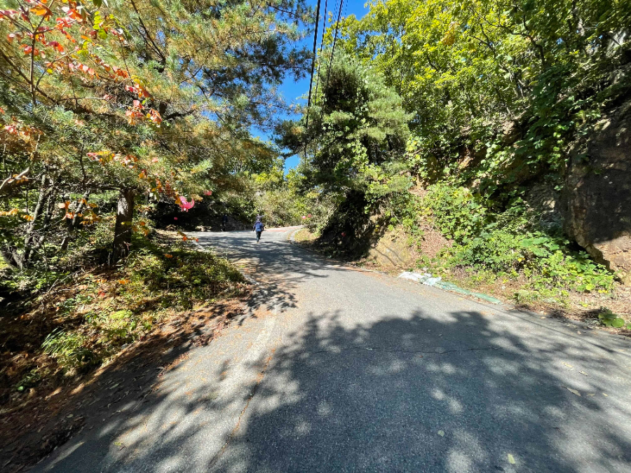 파주 감악산 출렁다리