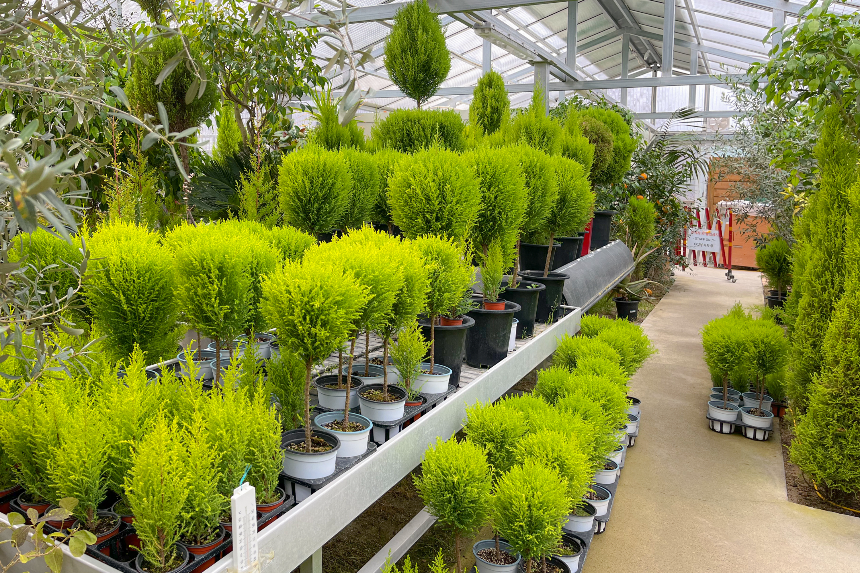 특색있고 아름다운 민간 정원 30선 추천 여행 - 29. 울주 온실리움