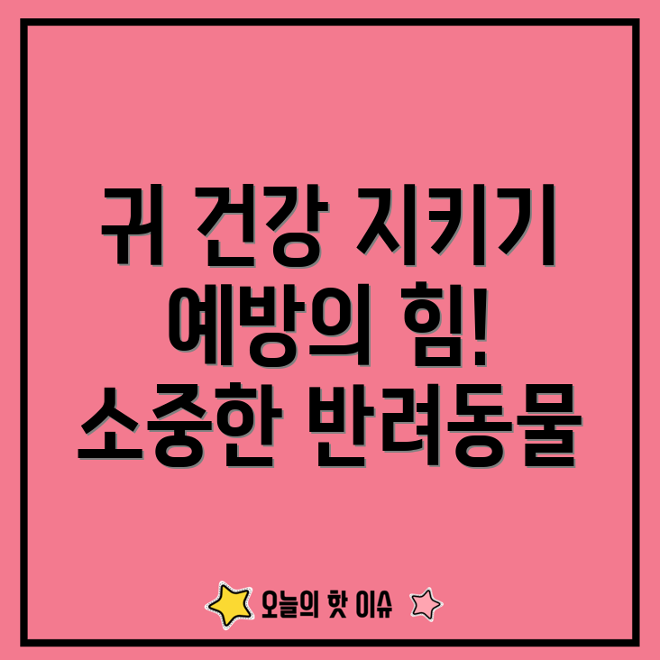 반려동물 귀 건강 유지하기